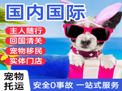 桂林空运公司国际宠物托运 【国